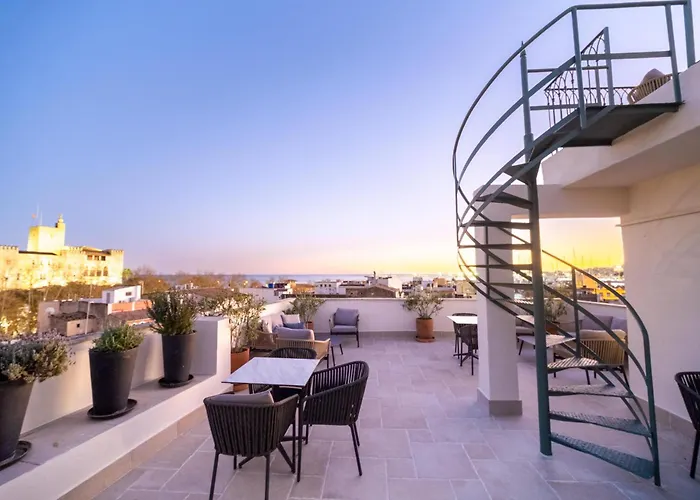 Apuntadores 8 Palma